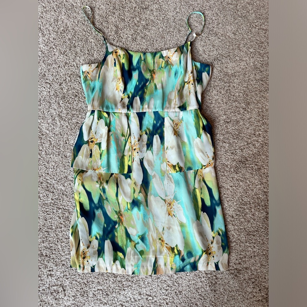 BB Dakota Dress